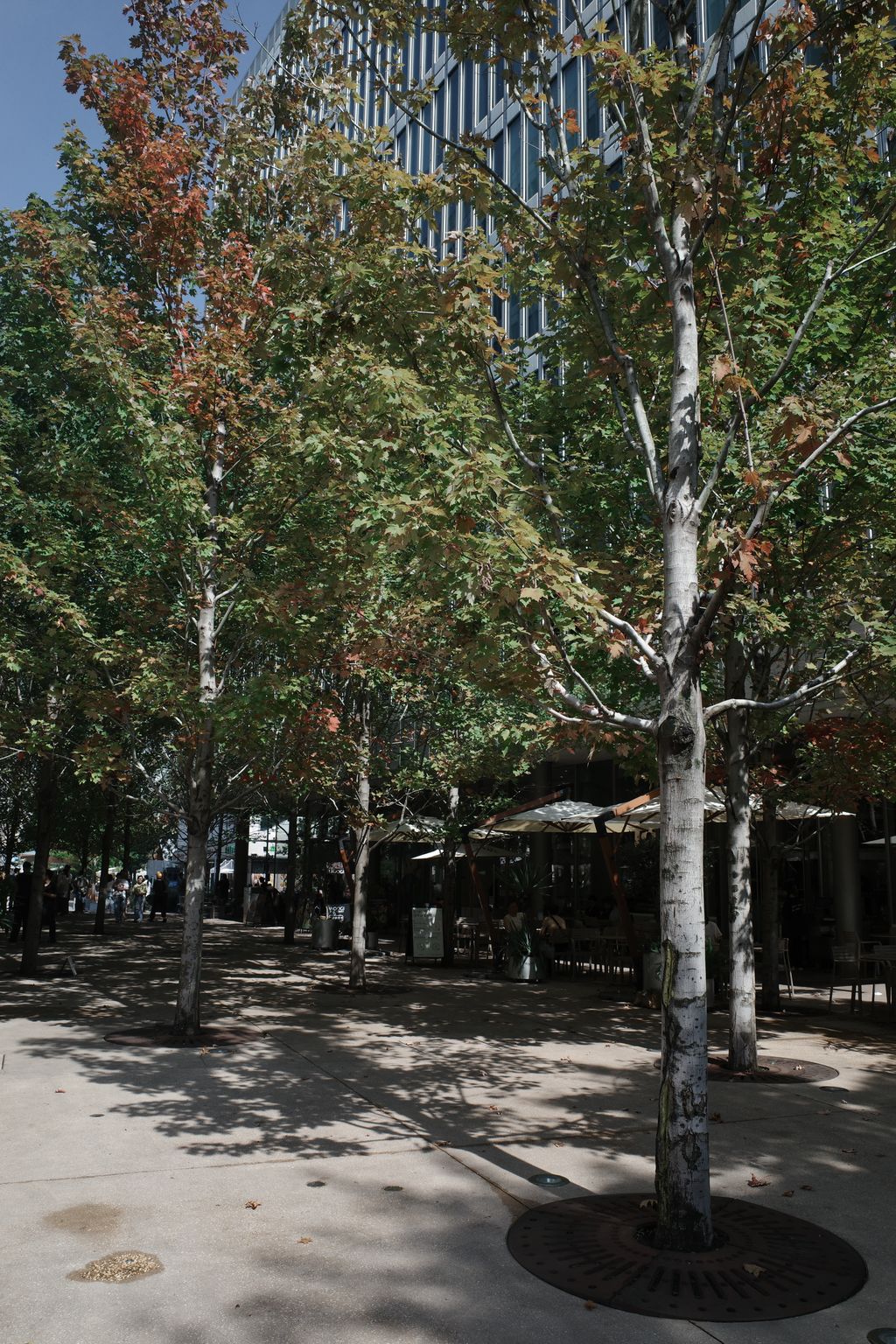 Post image 4