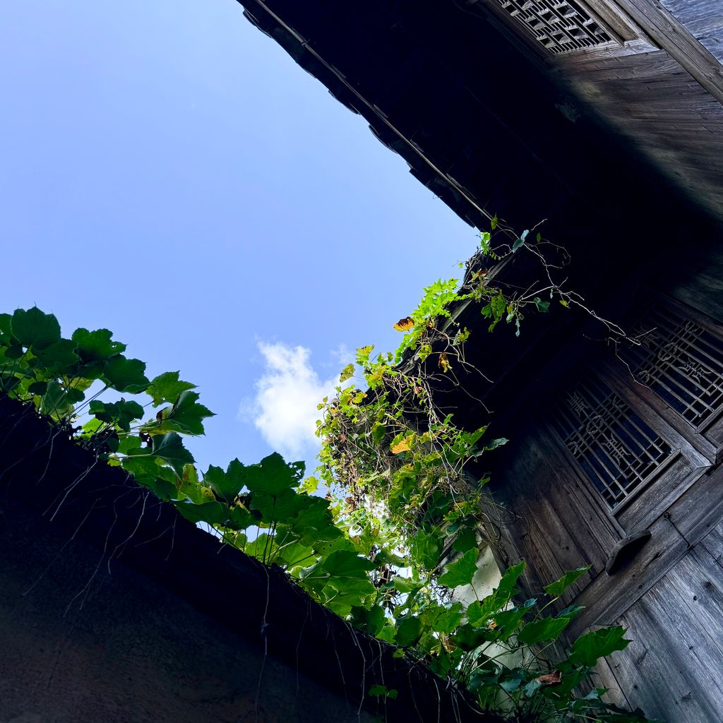 Post image 7